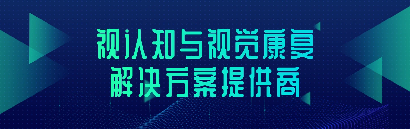 视认知与视觉康复解决方案提供商